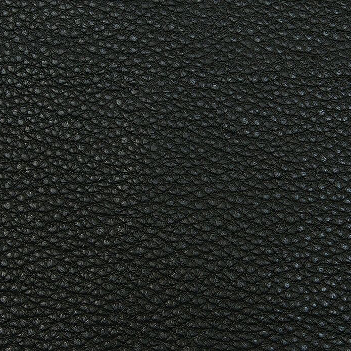 bionica
