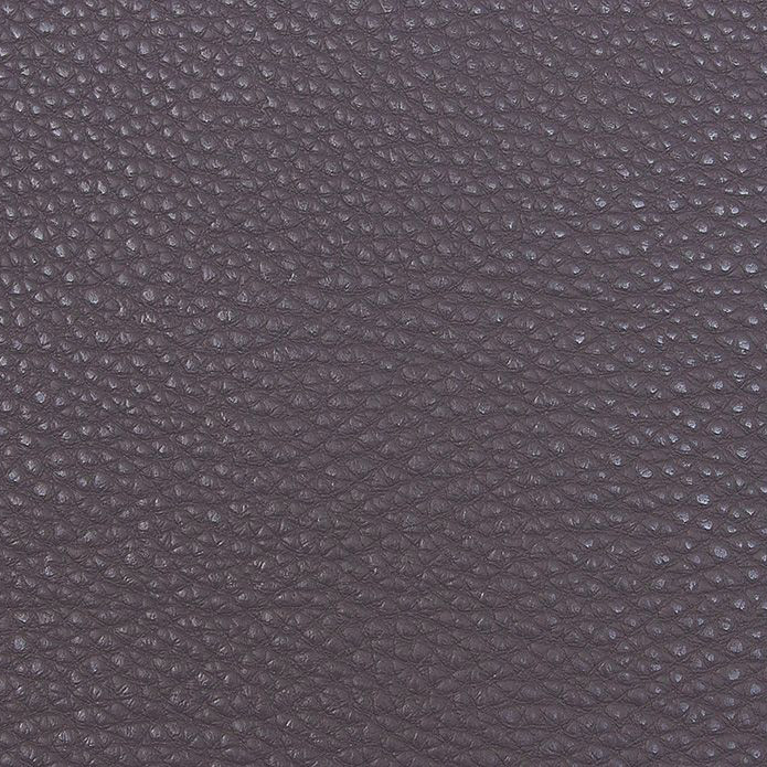 bionica