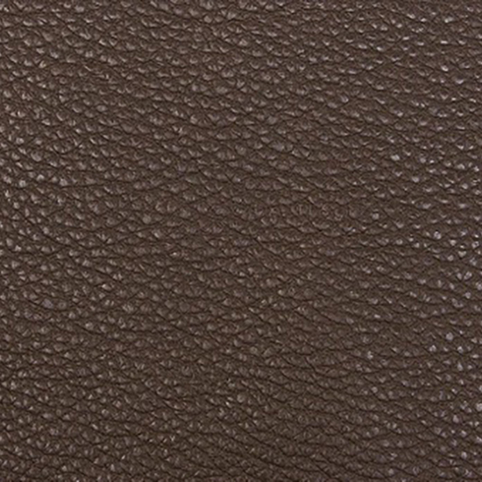 bionica