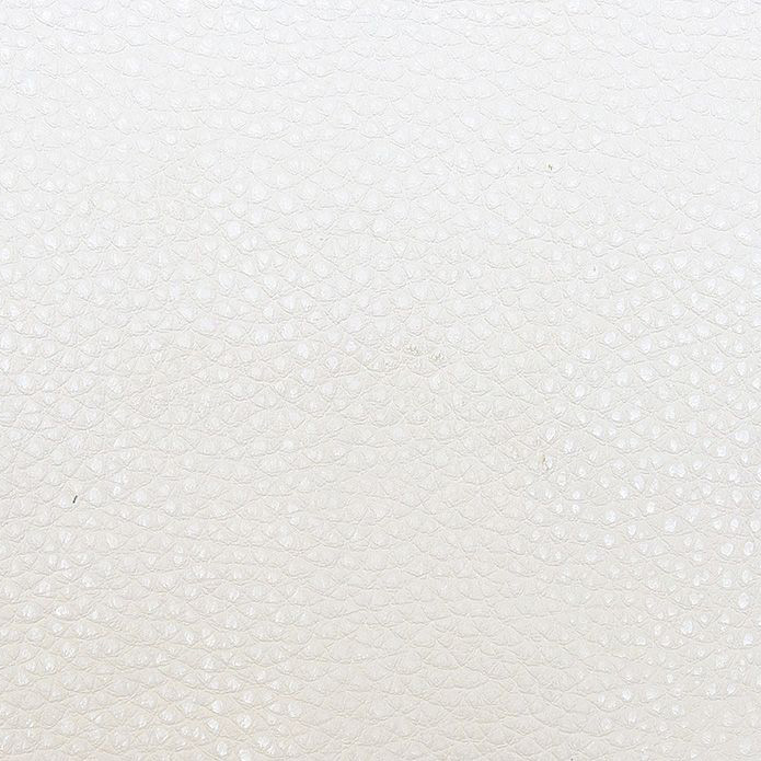 bionica